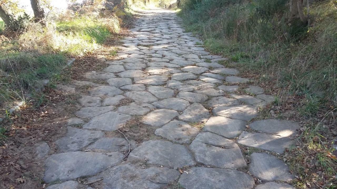 红绿蓝度假屋 Civitella dʼAgliano 外观 照片